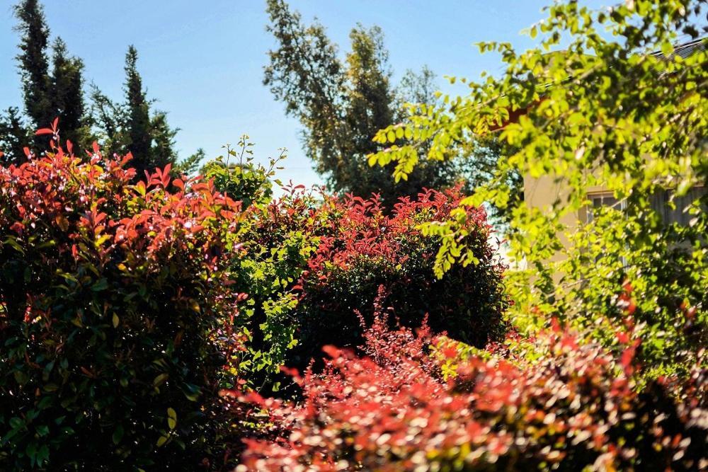 Cabanas De Las Pinturas Βίλα Sierra de la Ventana Εξωτερικό φωτογραφία