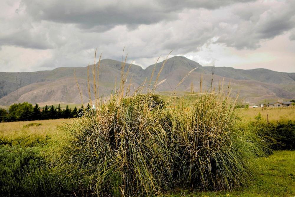 Cabanas De Las Pinturas Βίλα Sierra de la Ventana Εξωτερικό φωτογραφία