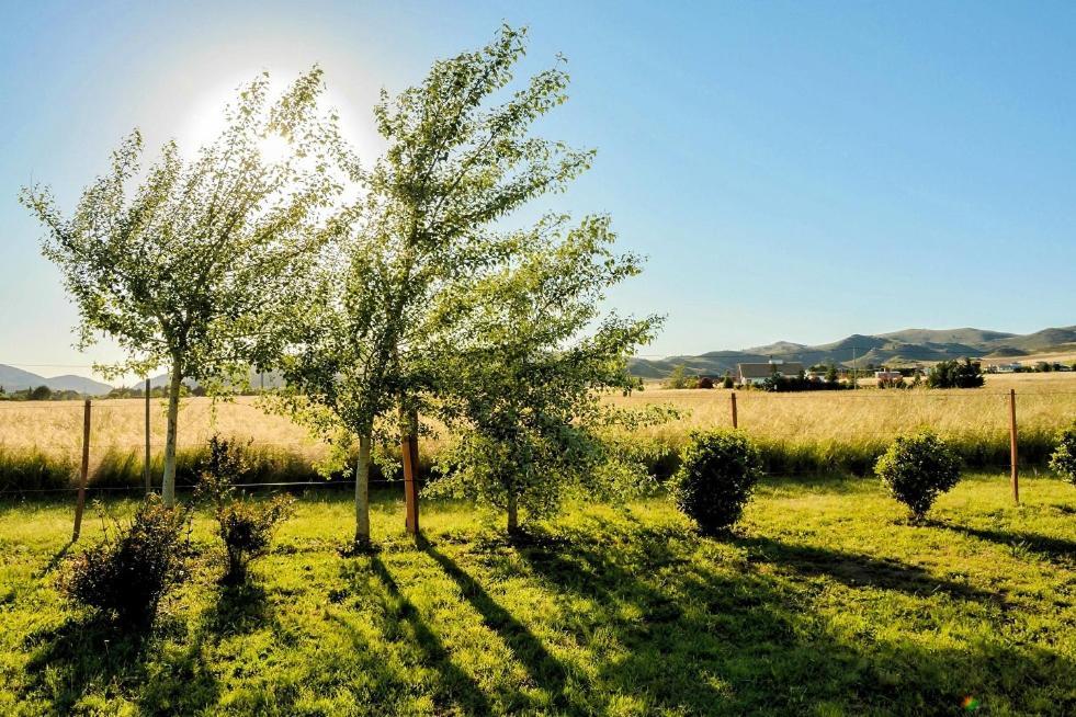 Cabanas De Las Pinturas Βίλα Sierra de la Ventana Εξωτερικό φωτογραφία